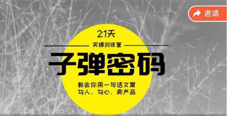 《子弹密码训练营》-用一句话文案勾人勾心卖产品，21天学到顶尖文案大师策略和技巧-千寻创业网