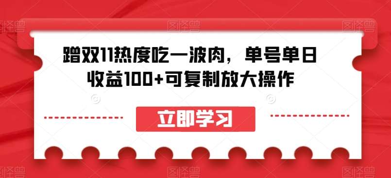 蹭双11热度吃一波肉，单号单日收益100+可复制放大操作【揭秘】-千寻创业网