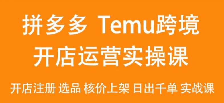 2024Temu最新玩法，Temu跨境开店运营实操课，开店注册/选品/核价上架/日出千单实战课-千寻创业网