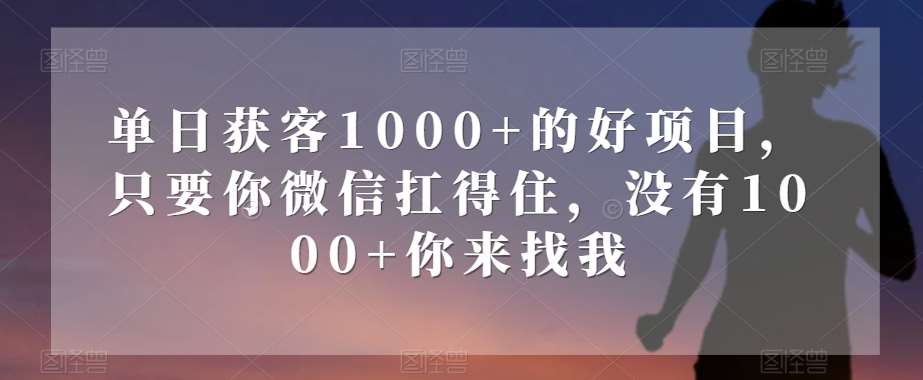 单日获客1000+的好项目，只要你微信扛得住，没有1000+你来找我【揭秘】-千寻创业网