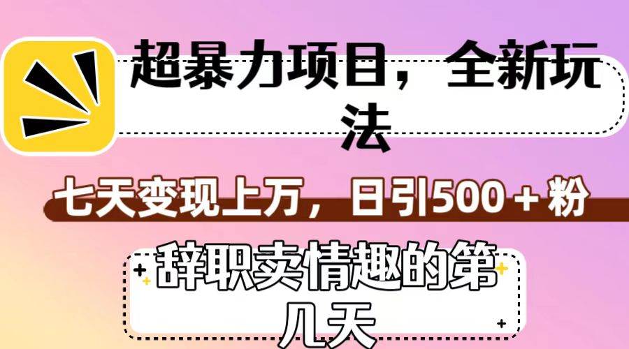 超暴利项目，全新玩法（辞职卖情趣的第几天），七天变现上万，日引500+粉-千寻创业网