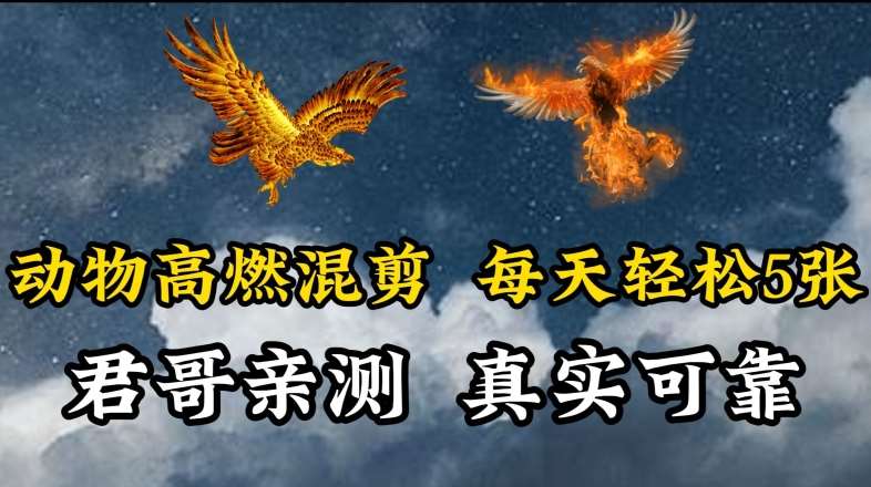 动物超燃混剪，每天轻松5张，剪辑简单大家爱看【揭秘】-千寻创业网