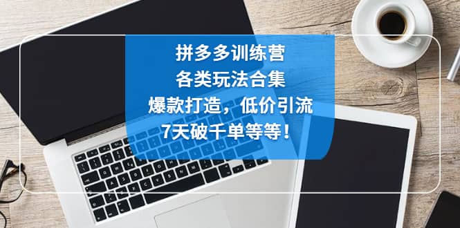 拼多多训练营：各玩法合集，爆款打造，低价引流，7天破千单等等-千寻创业网