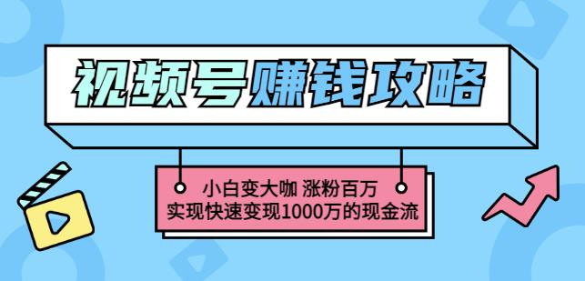 玩转微信视频号赚钱：小白变大咖涨粉百万实现快速变现1000万的现金流-千寻创业网