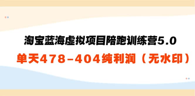淘宝蓝海虚拟项目陪跑训练营5.0：单天478纯利润（无水印）-千寻创业网