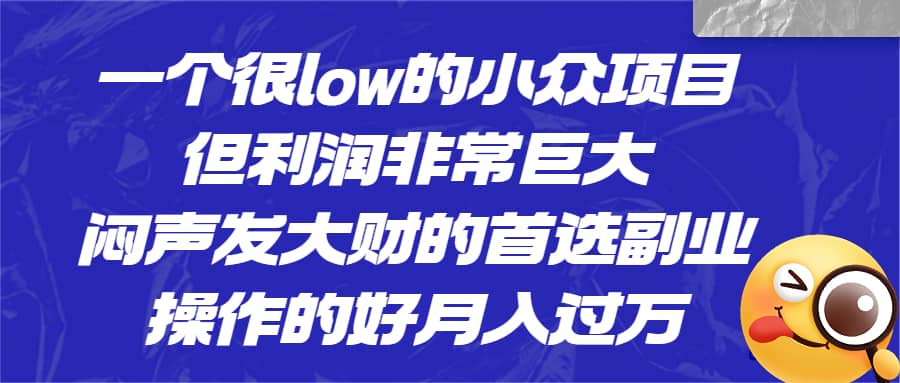 一个很low的小众项目，但利润非常巨大，闷声发大财的首选副业，月入过万-千寻创业网