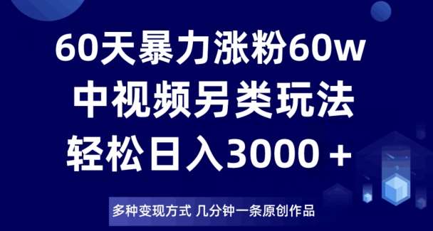 60天暴力涨粉60W，中视频另类玩法，日入3000＋，几分钟一条原创作品多种变现方式-千寻创业网
