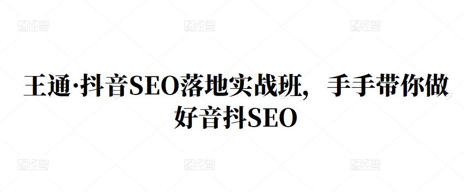 王通·抖音SEO落地实战班，手‬手带你做好音抖‬‬SEO-千寻创业网