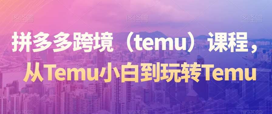 拼多多跨境（temu）课程，从Temu小白到玩转Temu-千寻创业网