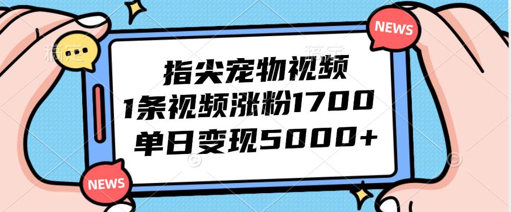 （12549期）指尖宠物视频，1条视频涨粉1700，单日变现5000+-千寻创业网
