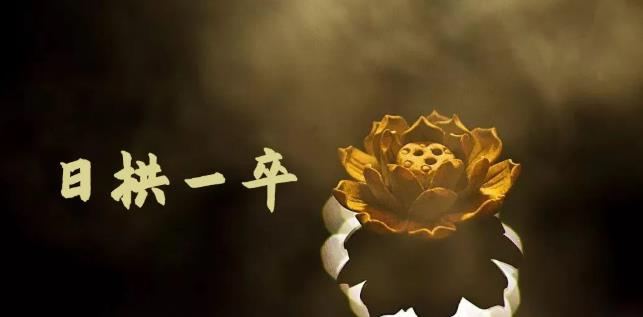 无脑搬砖，普通人可以复制的副业赚钱项目(附软件)-千寻创业网