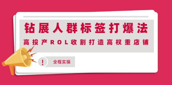 钻展人群标签打爆法，高投产ROL收割打造高权重店铺(全程实操)-千寻创业网