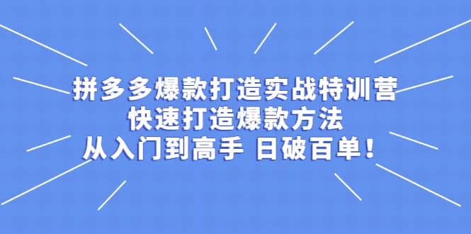 拼多多爆款打造实战特训营：快速打造爆款方法，从入门到高手 日破百单-千寻创业网