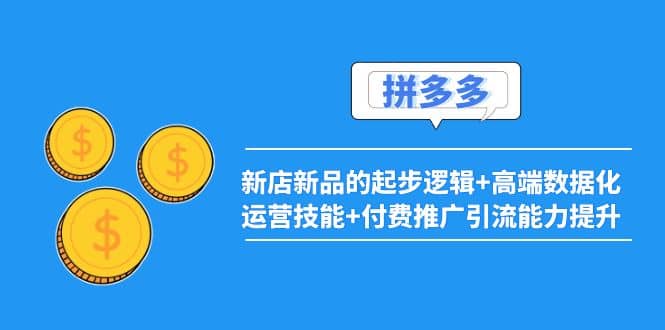 2022拼多多：新店新品的起步逻辑+高端数据化运营技能+付费推广引流能力提升-千寻创业网