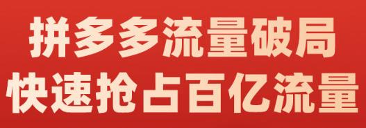 阿杰·拼多多流量破局:如何打黑标，爆款的思路，拼多多流量框架，快速抢占百亿流量-千寻创业网