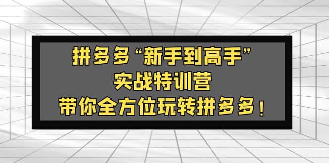拼多多“新手到高手”实战特训营：带你全方位玩转拼多多-千寻创业网