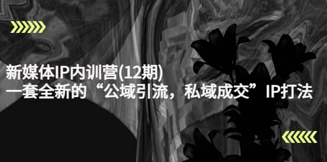 新媒体IP内训营(12期)，一套全新的“公域引流，私域成交”IP打法，直接带走-千寻创业网
