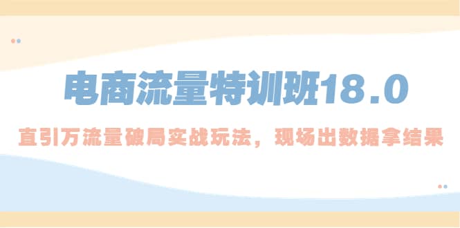 电商流量特训班18.0，直引万流量破局实操玩法，现场出数据拿结果-千寻创业网