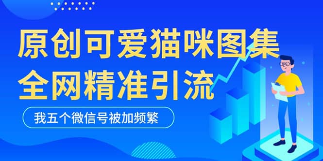 黑科技纯原创可爱猫咪图片，全网精准引流，实操5个VX号被加频繁-千寻创业网