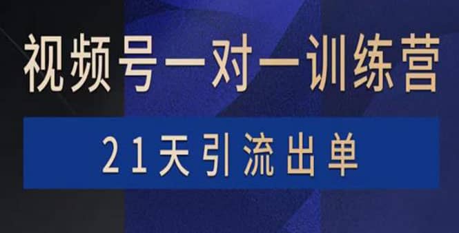 视频号训练营：带货，涨粉，直播，游戏，四大变现新方向，21天引流出单-千寻创业网