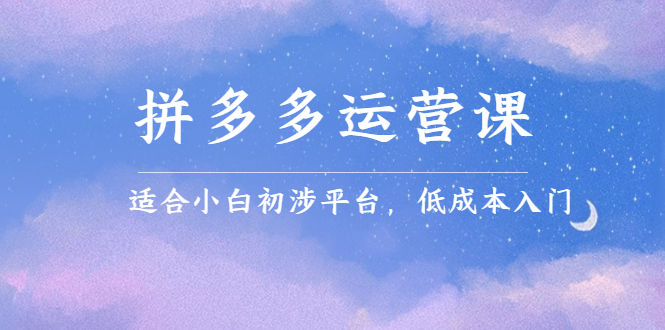 拼多多运营课，适合小白初涉平台，低成本入门-千寻创业网