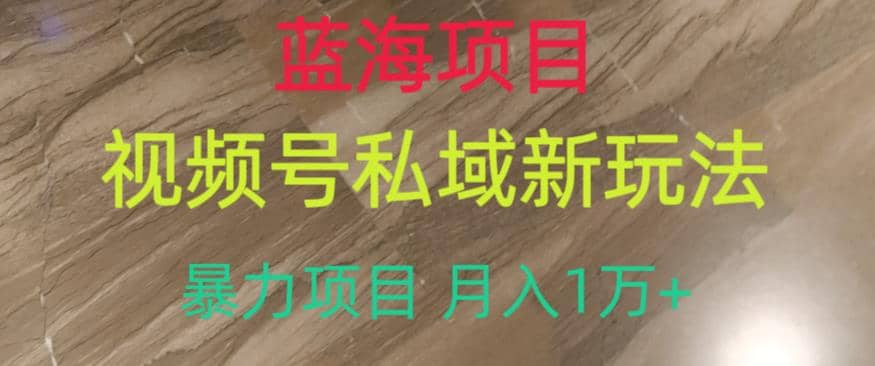 蓝海项目，视频号私域新玩法，暴力项目月入1万+【揭秘】-千寻创业网
