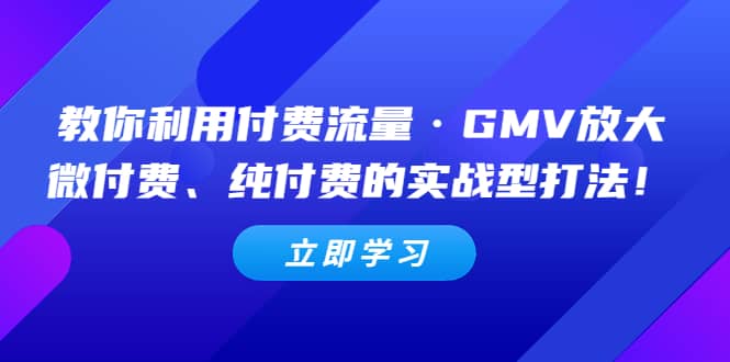 教你利用付费流量·GMV放大，微付费、纯付费的实战型打法-千寻创业网