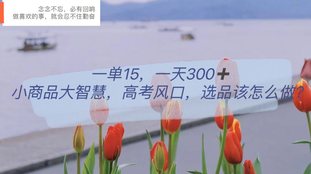 一单15，一天300+，小商品大智慧，高考风口，选品该怎么布局-千寻创业网
