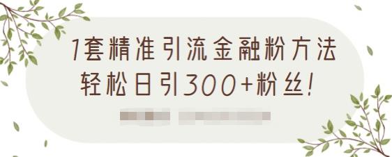 1套精准引流金融粉方法，轻松日引300+粉丝【视频课程】-千寻创业网