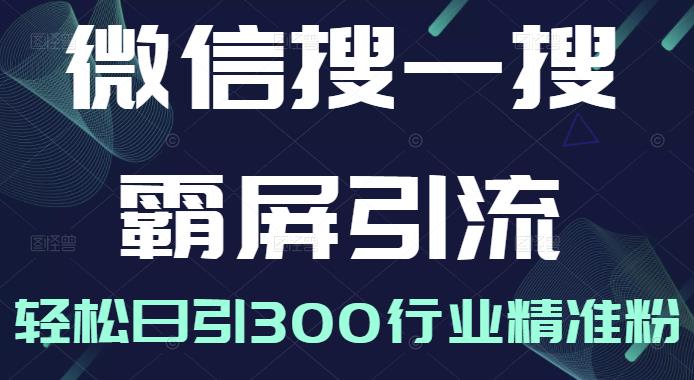 微信搜一搜霸屏引流课，打造被动精准引流系统，轻松日引300行业精准粉【无水印】-千寻创业网
