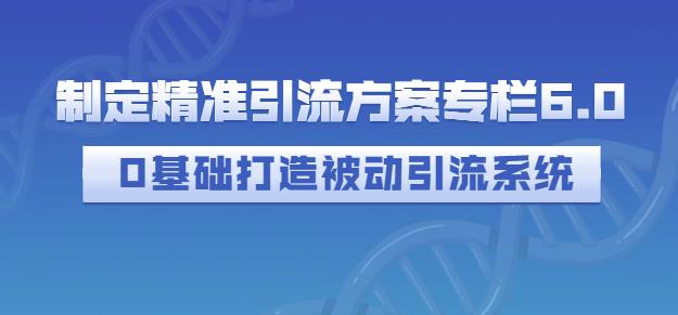 制定精准引流方案专栏6.0，0基础打造被动引流系统-千寻创业网