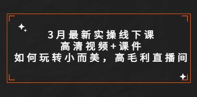 3月最新实操线下课高清视频+课件，如何玩转小而美，高毛利直播间-千寻创业网