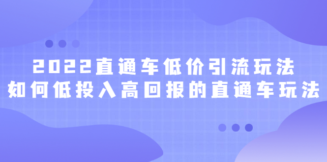2022直通车低价引流玩法，教大家如何低投入高回报的直通车玩法-千寻创业网