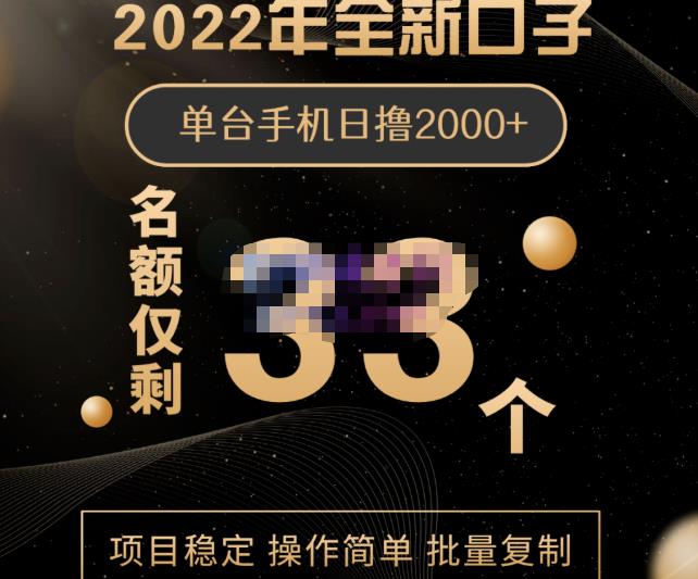 2022年全新口子，手机批量搬砖玩法，一部手机日撸2000+-千寻创业网