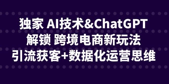 独家 AI技术ChatGPT解锁 跨境电商新玩法，引流获客+数据化运营思维-千寻创业网