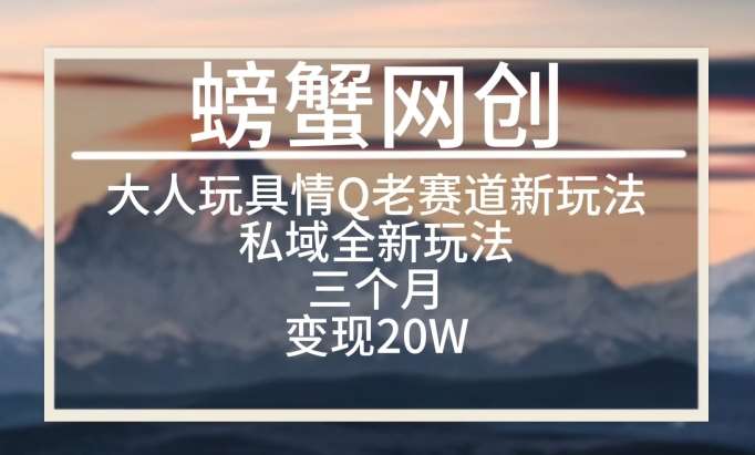 大人玩具情Q用品赛道私域全新玩法，三个月变现20W，老项目新思路【揭秘】-千寻创业网