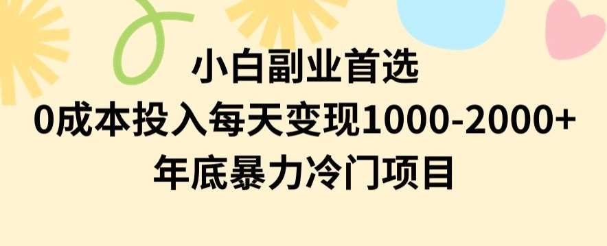 小白副业首选，0成本投入，每天变现1000-2000年底暴力冷门项目【揭秘】-千寻创业网