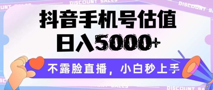 抖音手机号估值，日入5000+，不露脸直播，小白秒上手【揭秘】-千寻创业网