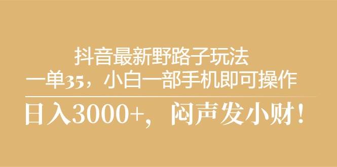 （10766期）抖音最新野路子玩法，一单35，小白一部手机即可操作，，日入3000+，闷…-千寻创业网