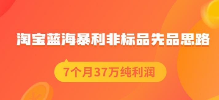 盗坤淘宝蓝海暴利非标品先品思路，7个月37万纯利润，压箱干货分享！【付费文章】-千寻创业网
