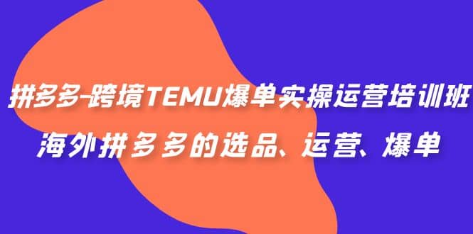 拼多多-跨境TEMU爆单实操运营培训班，海外拼多多的选品、运营、爆单-千寻创业网