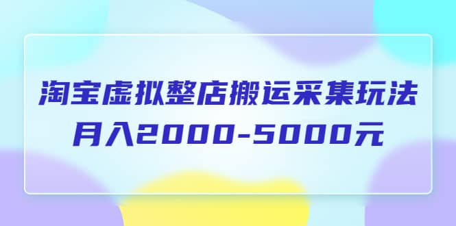 淘宝虚拟整店搬运采集玩法分享课：月入2000-5000元（5节课）-千寻创业网