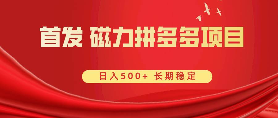 （8611期）首发 磁力拼多多自撸  日入500+-千寻创业网