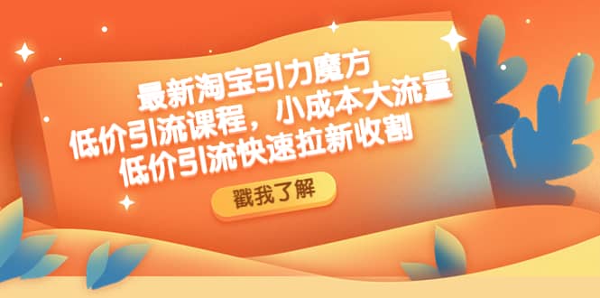 最新淘宝引力魔方低价引流实操：小成本大流量-千寻创业网