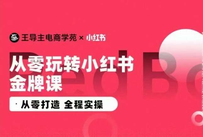 王导主·小红书电商运营实操课，​从零打造  全程实操-千寻创业网