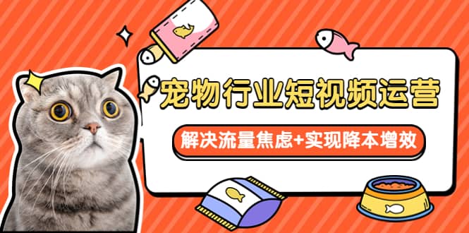 宠物/行业短视频运营 流量增长的一层窗户纸 解决流量焦虑+实现降本增效-千寻创业网