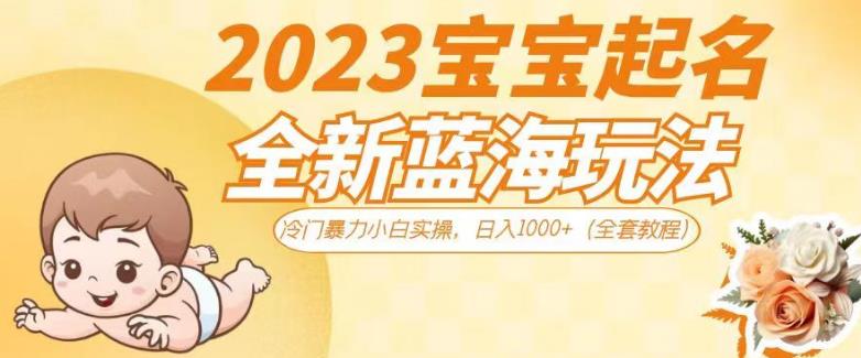 2023宝宝起名全新蓝海玩法，冷门暴力小白实操，日入1000+（全套教程）【揭秘】-千寻创业网