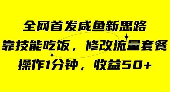 咸鱼冷门新玩法，靠“技能吃饭”，修改流量套餐，操作1分钟，收益50【揭秘】-千寻创业网