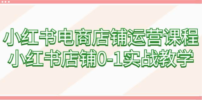 （9249期）小红书电商店铺运营课程，小红书店铺0-1实战教学（60节课）-千寻创业网