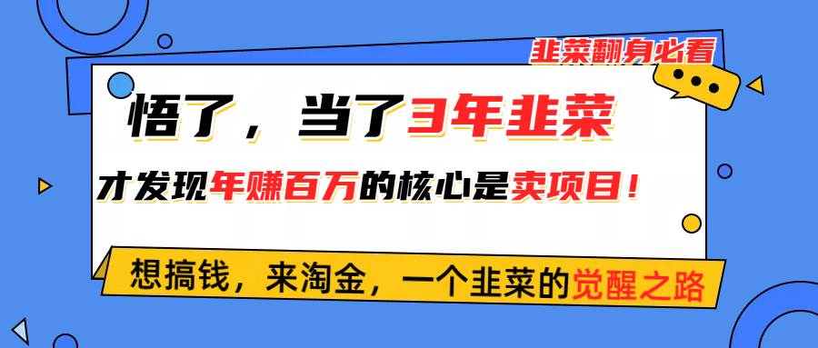 （10759期）悟了，当了3年韭菜，才发现网赚圈年赚100万的核心是卖项目，含泪分享！-千寻创业网